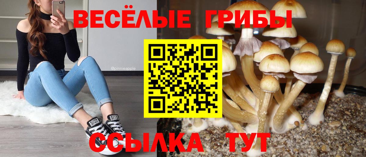 Псилоцибиновые грибы ЛСД Тольятти