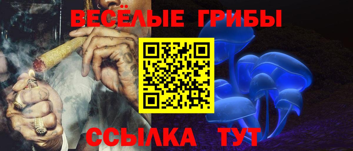 Тольятти  Галлюциногенные грибы Psilocybe  Вход с VPN  Галлюциногенные грибы GOLDEN TEACHER 